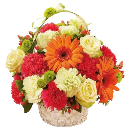 Flowers Basket Courteous Stroke
