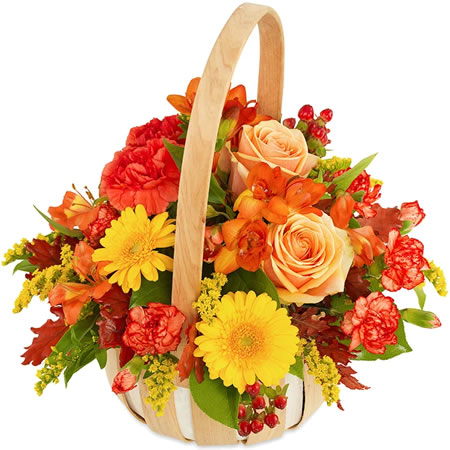Flowers Basket Cheerfulness