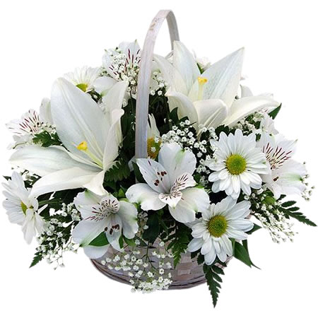Flowers Basket Serene